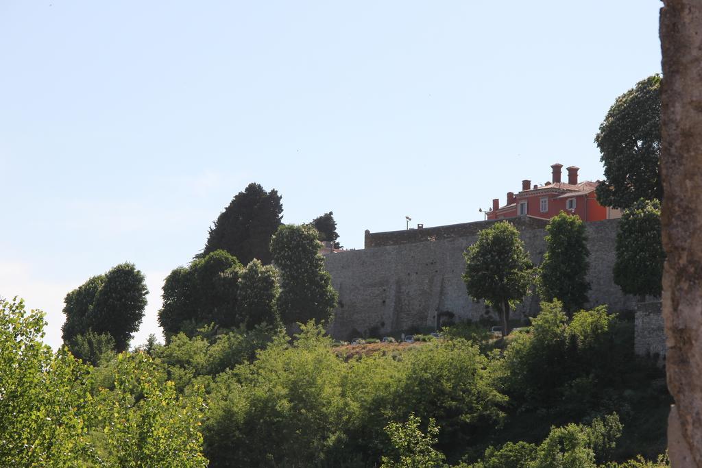 Вилла Provvidenza Мотовун Номер фото